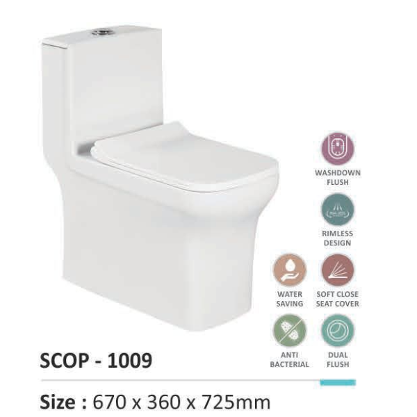 1009-(2009) ONE PIECE