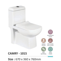 1015  (2011) ONE PIECE