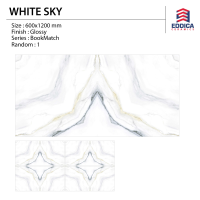 WHITE SKY