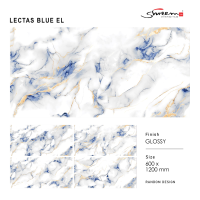 LECTAS BLUE