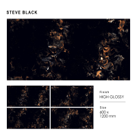 STEVE BLACK